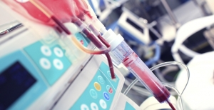 Coordenadora nacional da transplantação garante que ninguém morreu por falta de transplante durante pandemia