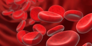 Hemofilia: CSL Behring apresenta novos dados no ISTH 2017
