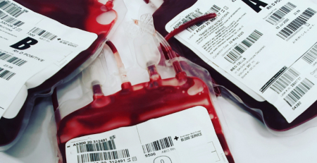 Parlamento aprova proibição de discriminação na doação de sangue por orientação sexual