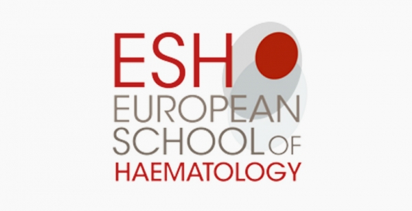 Tumor hematológico é foco de Workshop Científico da European School of Haematology