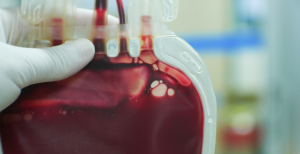 Federação lança campanha pelo direito à ausência no trabalho no dia de doar sangue