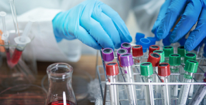 Investigadores do i3S pretendem melhorar sobrevivência de doentes com leucemia mieloide aguda