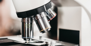 Amostra de sangue é capaz de diagnosticar e monitorizar o mieloma múltiplo, indica estudo