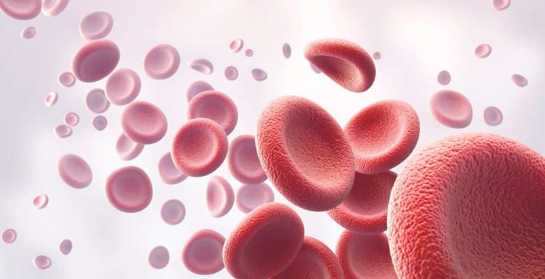 Terapia génica em hemofilia, em que fase nos encontramos?