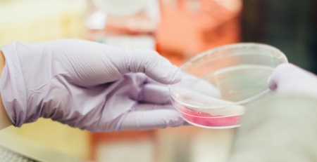 Venetoclax em combinação com rituximab comparticipado e já disponível para o tratamento de doentes adultos com leucemia linfocítica crónica