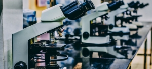 Update das guidelines da ESMO: Importância das terapêuticas dirigidas, da del17p/TP53 e da duração do tratamento