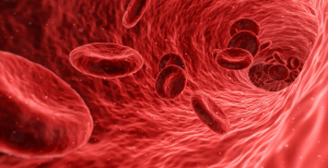 Uma nova era de deteção precoce de cancro através de testes sanguíneos pode mudar os paradigmas de rastreio
