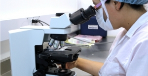 Portugueses estudam relação entre metabolismo do ferro e gravidade da COVID-19