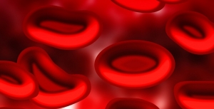 Hospitais passam a fornecer o seu plasma ao IPST