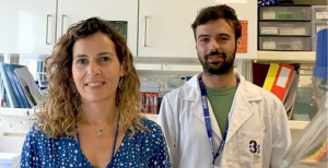 i3S prova que açúcares à superfície dos linfócitos T regulam o sistema imunitário