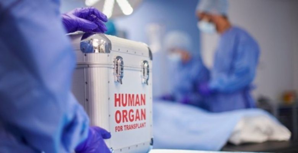 Publicadas recomendações norte-americanas de gestão no transplante renal em doentes com discrasia plasmocitária