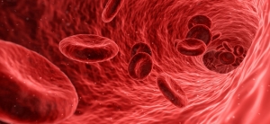 Desconhecimento dos sintomas da deficiência de ferro atrasa diagnóstico da anemia