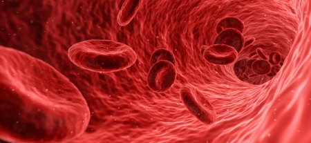 Desconhecimento dos sintomas da deficiência de ferro atrasa diagnóstico da anemia