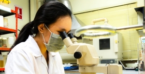 Aprovado financiamento de pembrolizumab para o tratamento de Linfoma de Hodgkin clássico refratário ou recidivado